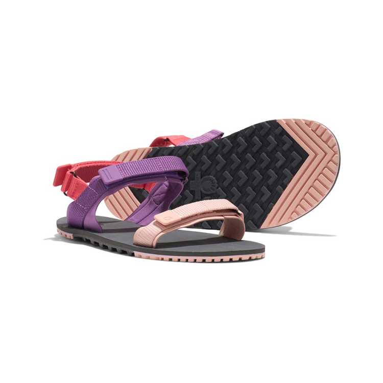 Sandales minimalistes D-Trail femme Dewberry Multi Xero Shoes DTRW-DWMU